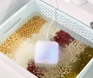 Wall-mounted Intelligent Food Purifier Automatic Fruit Vegetable Ion Purification Washing Machine