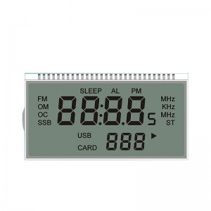 Customized LCD/LCM Segment Display for metering