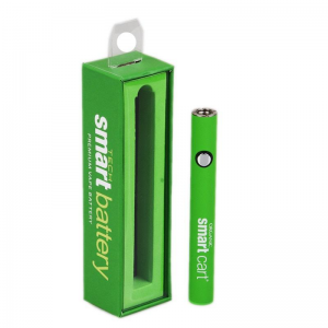 સ્માર્ટ કાર્ટ બેટરી વેપ 510 થ્રેડ કારતુસ 380mah વેરિયેબલ વોલ્ટેજ પ્રીહિટીંગ સ્માર્ટકાર્ટ બેટરીઓ યુએસબી ચાર્જર ઇવોડ લો સાથે