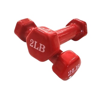 Factory Wholesale Vinyl Dumbbell with low price