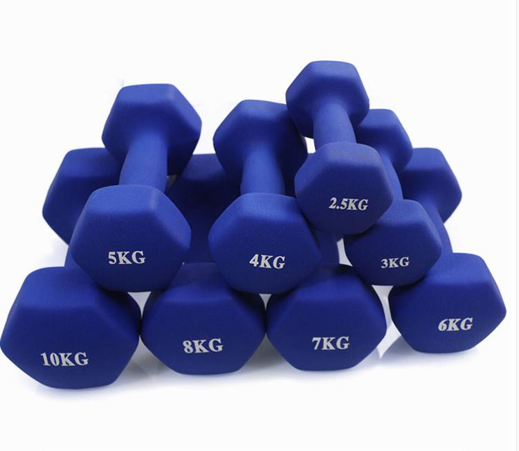 Best Sale plastic  Dipping Dumbbell for yoga variopus Color dumbbell with bodybuilding equipments