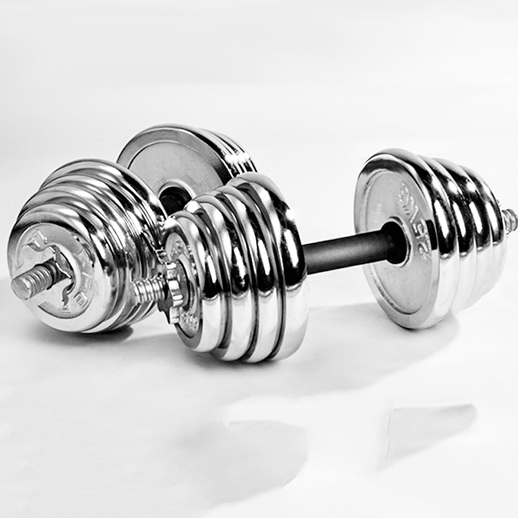 Bodybuilding Hard Chrome Plating  dumbbell  plates with Low Price