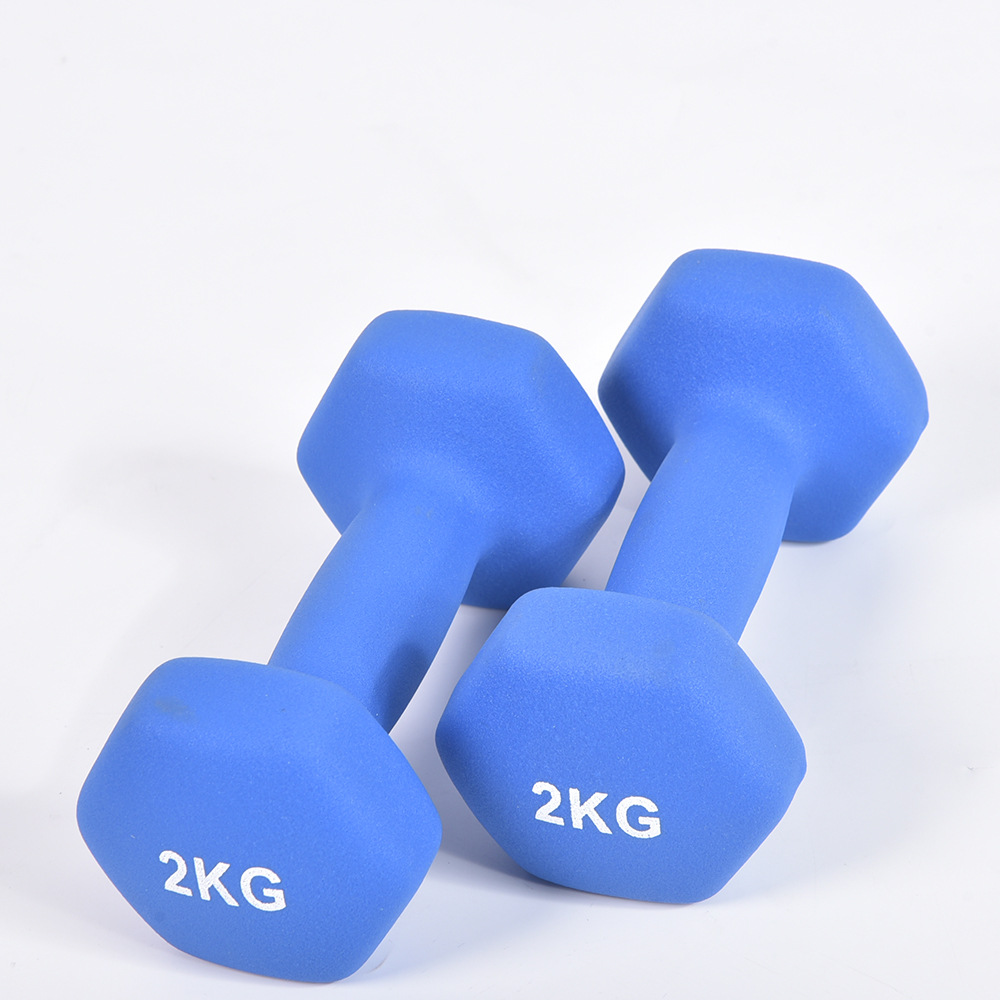 Wholesale Export Colorful Neoprene Coated Dumbbells For Woman Training