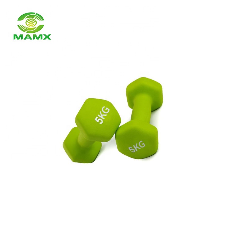 8kg matte and shiny dumbbell gym equipment home fitness wholesale