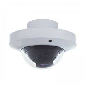 Internal Dome IP Camera