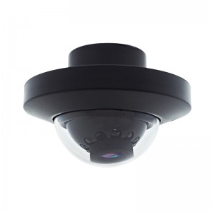 Kei roto Dome CCTV Camera