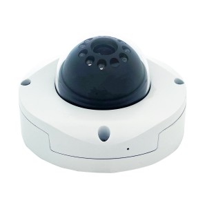 High Definition Dome IP-kamera med IR