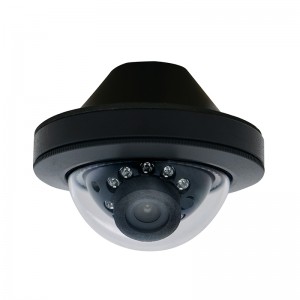 Intern Dome IP-kamera