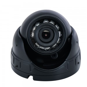 Auto-Überwachungs-Dome-IP-Kamera