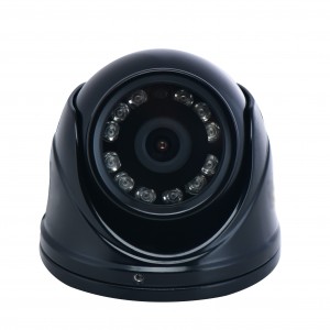 Vehicle Dome IP Kamera