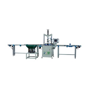 PLMF-1 Automatic Production Line For Assembly Sealing Ring