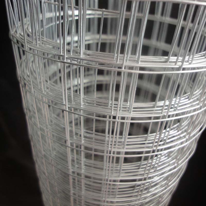 factory direct sale welded wire mesh