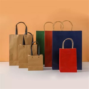 Custom Logo Candak Away twisted Handle Paper Bags