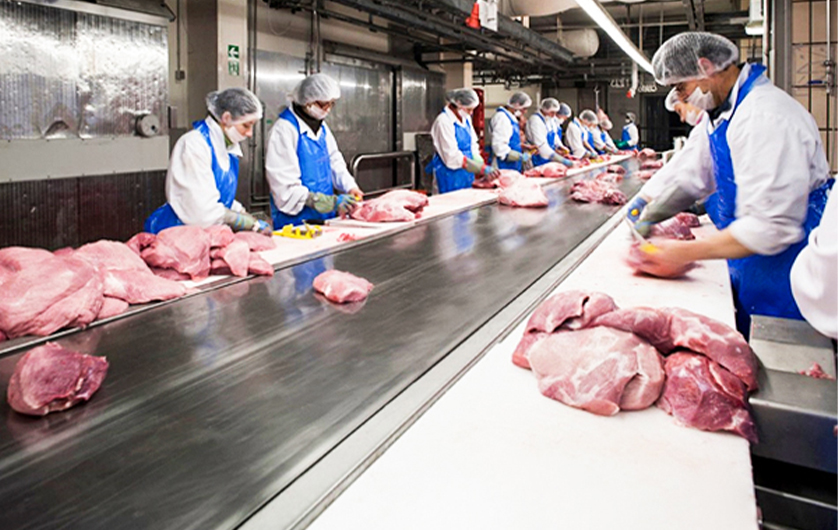 تسمه استیل برای اقف و نقاله گوشت |تصویر ویژه صنعت غذا