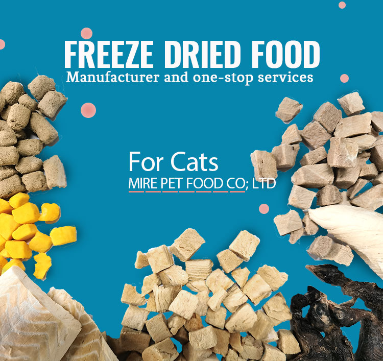 freeze-dried-food-1