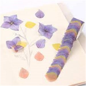 Lingkaran Stiker Washi Tape Roll pikeun DIY Dekoratif Diary Nu Ngarencana Scrapbooking