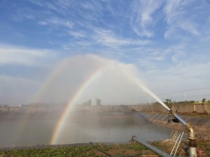 Farm irrigation sprinkler gun rain gun sprinkler