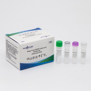 Dengue Virus I/II/III/IV Waikawa Nucleic