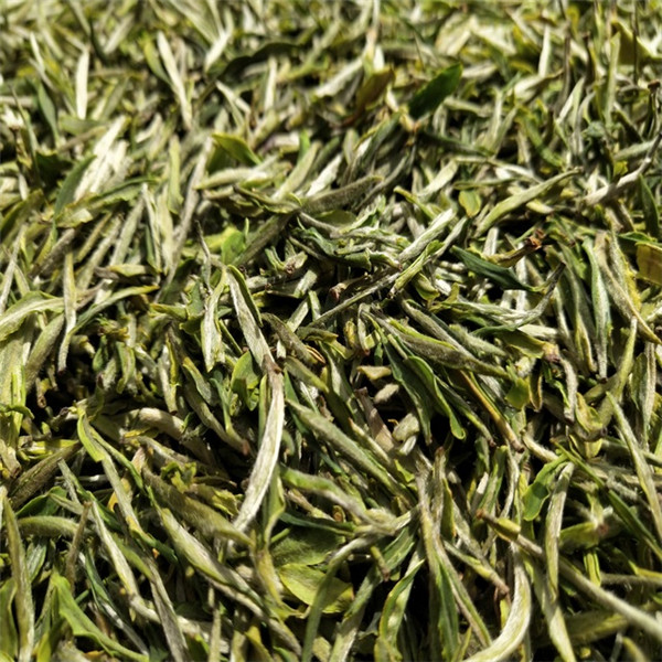 Huang Shan Mao Feng Chinese Green Tea Curious Tea