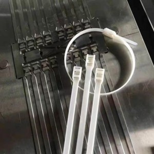 Ṣiṣu Cable Tie Mold