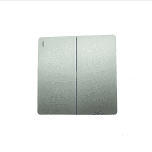 Silver gray color 2 gang switch