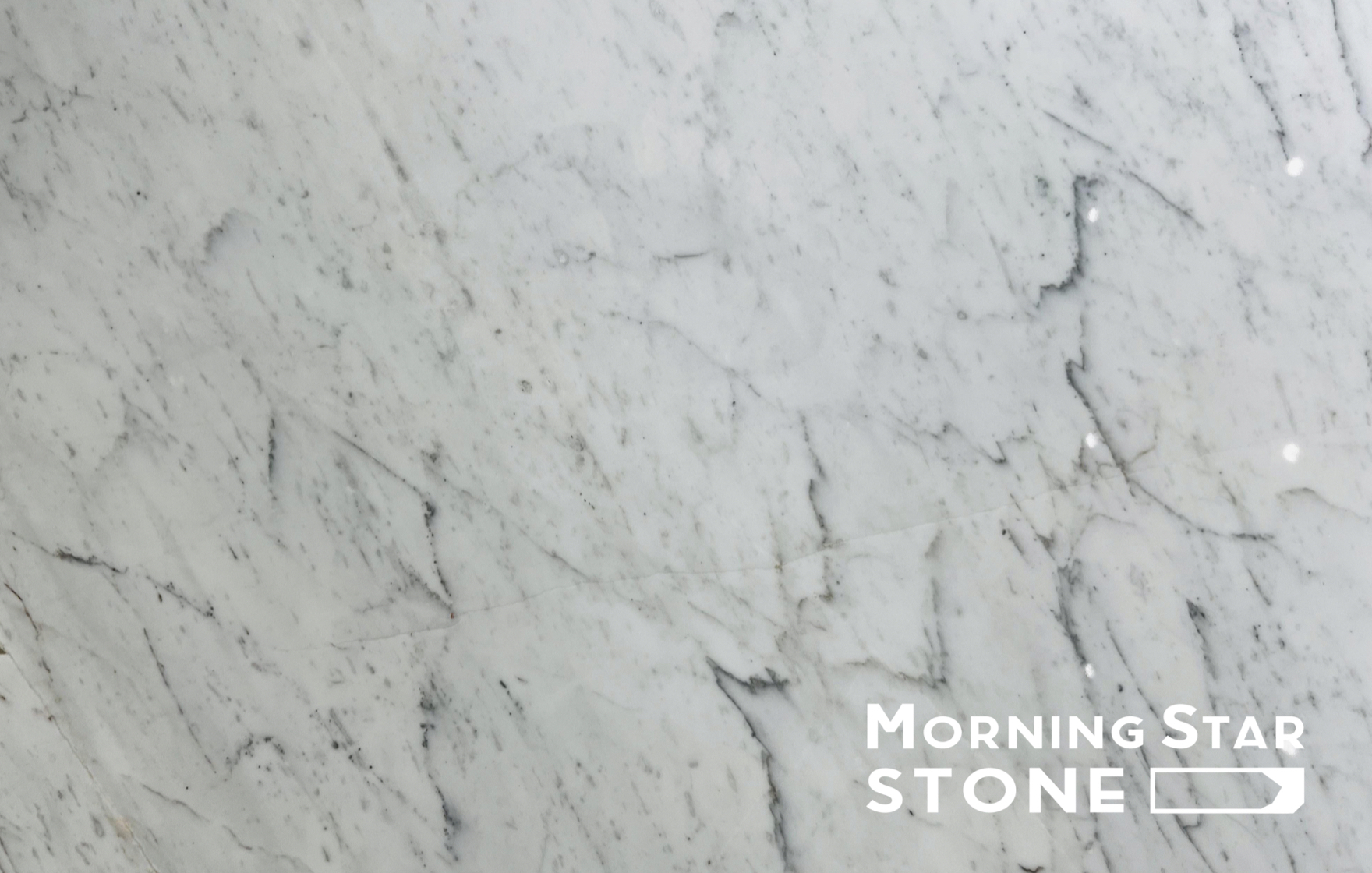 Scopre a bellezza di e piastrelle di marmo di Carrara da Morningstar Stone