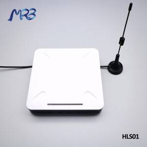 Sampel Percuma Kilang Teg Digital Pricer - stesen pangkalan MRB ESL HLS01 – LGM