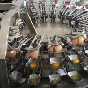 Bottom price Boiled Egg Shelling Machine - MT-500 Egg breaking machine – Min-Tai