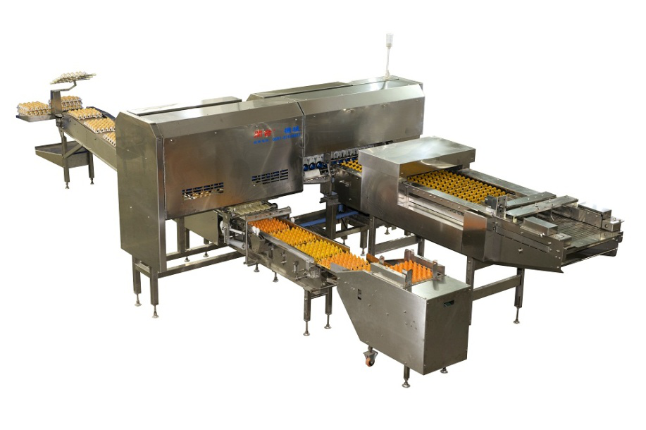 What problems should be paid attention to in daily use of egg packing machine?