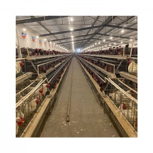 Satılık İyi Fiyat Otomatik Katman Tavuk Çiftliği Yumurta Tavukları Kümes Hayvanları Pil Kafesleri
