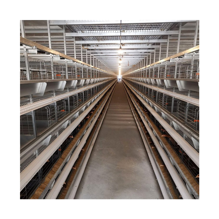 Materiale galvanizzato moderno dell'attrezzatura per l'allevamento di pollame 4 livelli H di tipo Gabbia a strati di pollo all'uovo