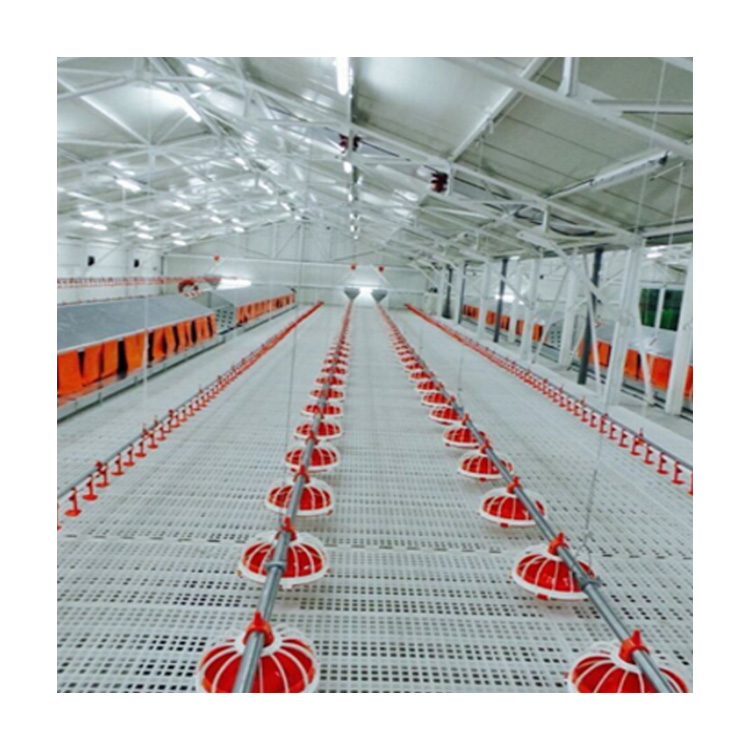 Broiler Floor Raising Equipment Automatic Poultry Farming Chicken Breeding Pan Feeder and Nipple Drinker Line System