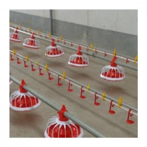 Best quality automatic poultry equipment broiler chickens floor feeding system of chicken farm