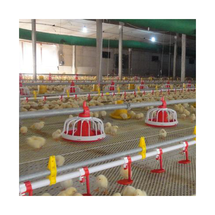مزرعة دواجن آلية تربية نظام تغذية مربي الدجاج اللاحم ونظام الشارب