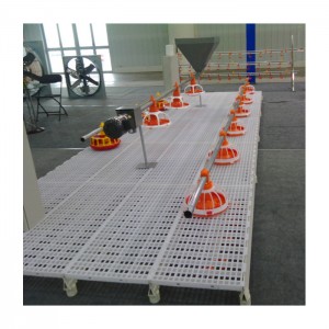 Manufacturer of Floor Feeding System Of Chicken Farm - Hot Sale Chicken House Poultry Shed Prefabricated/Prefab Full-Set Automatic Feeding System – Motong