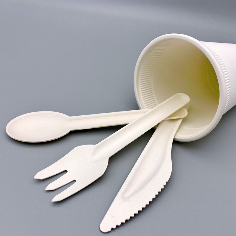 Disposable Tableware Market: A Blend of Convenience and Sustainability