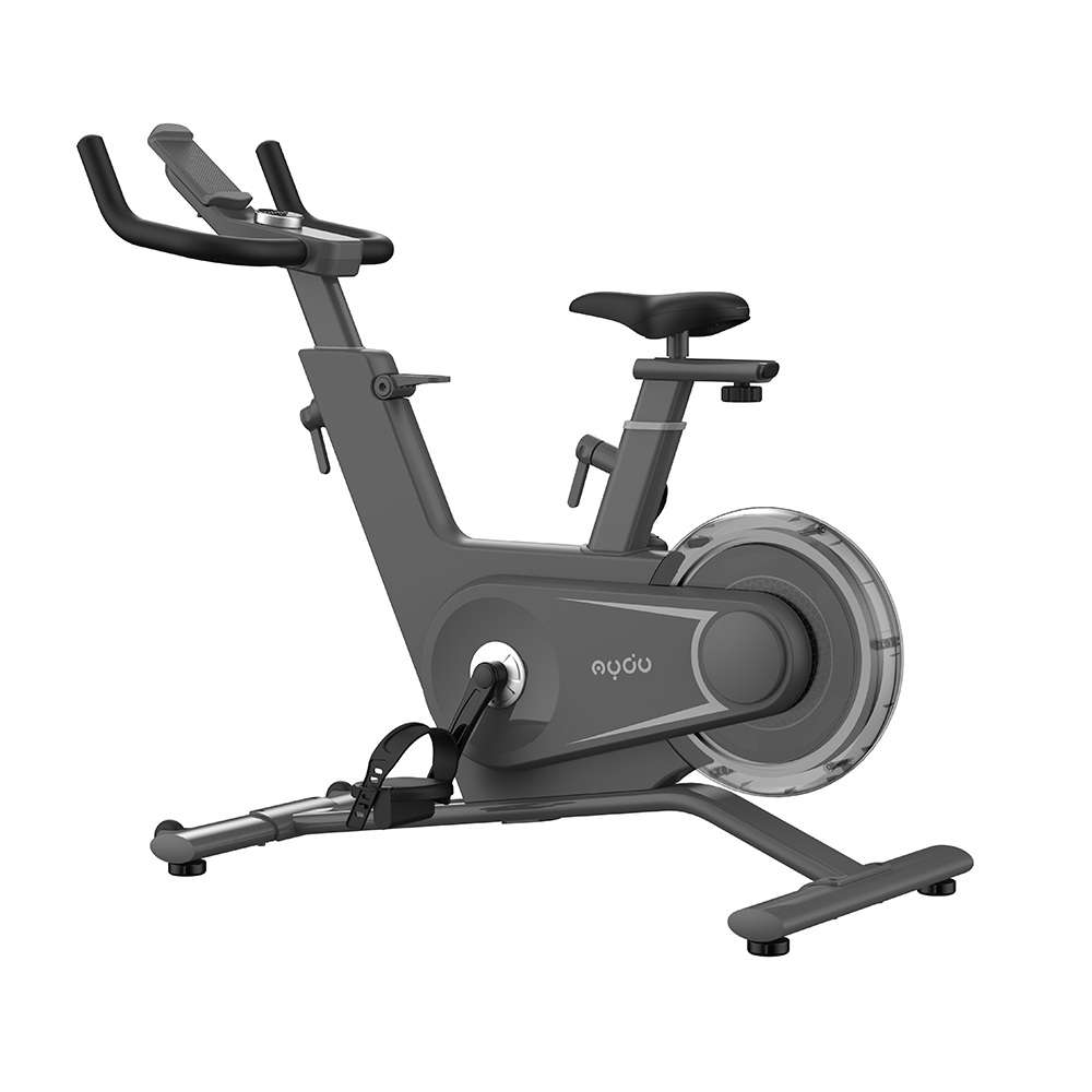 Cheap PriceList for Cardio Master Spin Bike - 6KG Home Use Smart Spinning Bike – MYDO SPORTS