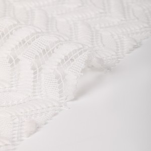 Shaoxing Textile Solid Dyed 100% Polyester Warp mesh jacquard Knitting ສໍາລັບ dresses