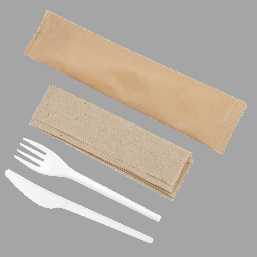 CPLA Recyclable Dinnerware Compostable Cutlery