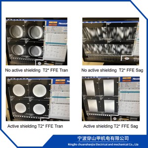 Low-frequency Electromagnetic Field Active Shielding