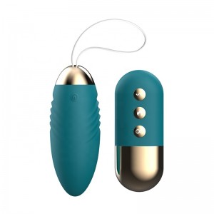 Wireless Remote Powerful 10 Modes Vibrating Love Egg Vibrator
