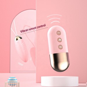Wireless Remote Powerful 10 Modes Vibrating Love Zai Vibrator