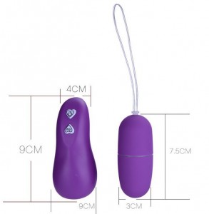 Remote Control Wireless G Spot Klitoris Love Egg Vibrator