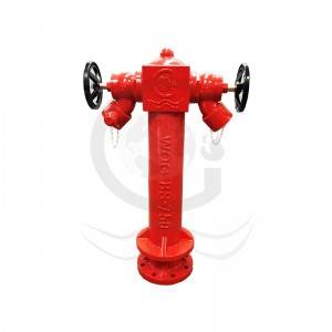 Quality Inspection for Flange Type Pressure Reducing Valve - wet type fire hydrant  – World Fire Fighting Equipment
