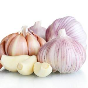 Garlic ùr