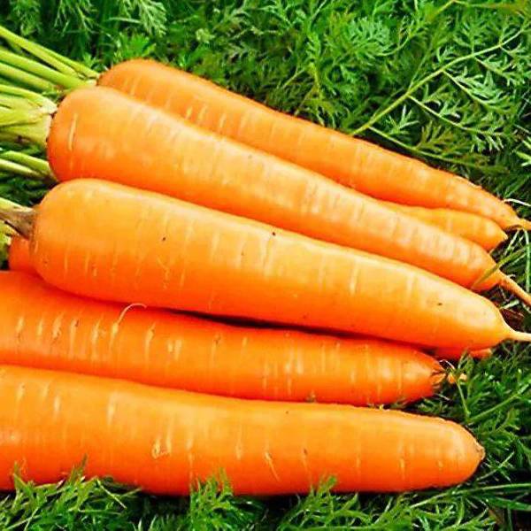 Ìomhaigh sònraichte le Carrot