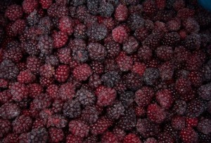 Хөлдөөсөн хүнсний ногоо, жимс жимсгэнэ IQF Frozen Raspberry