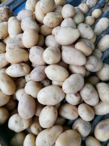 Populārs dārzeņu svaigu kartupeļu eksports, svaigs saldais kartupelis par lētu cenu