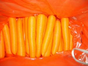 Porkkana tuore luomuporkkana uusin sato pahvilaatikossa S M L ammattivienti tuore porkkana