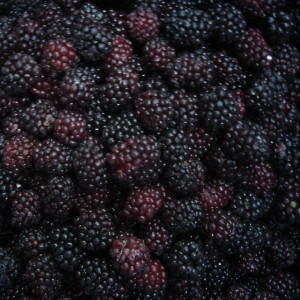 የቀዘቀዙ አትክልቶች እና ፍራፍሬዎች IQF የቀዘቀዘ Raspberry